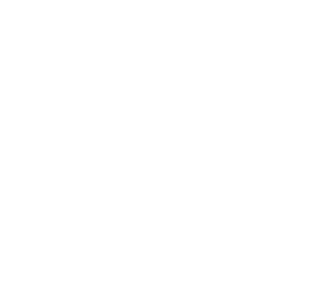 watermark